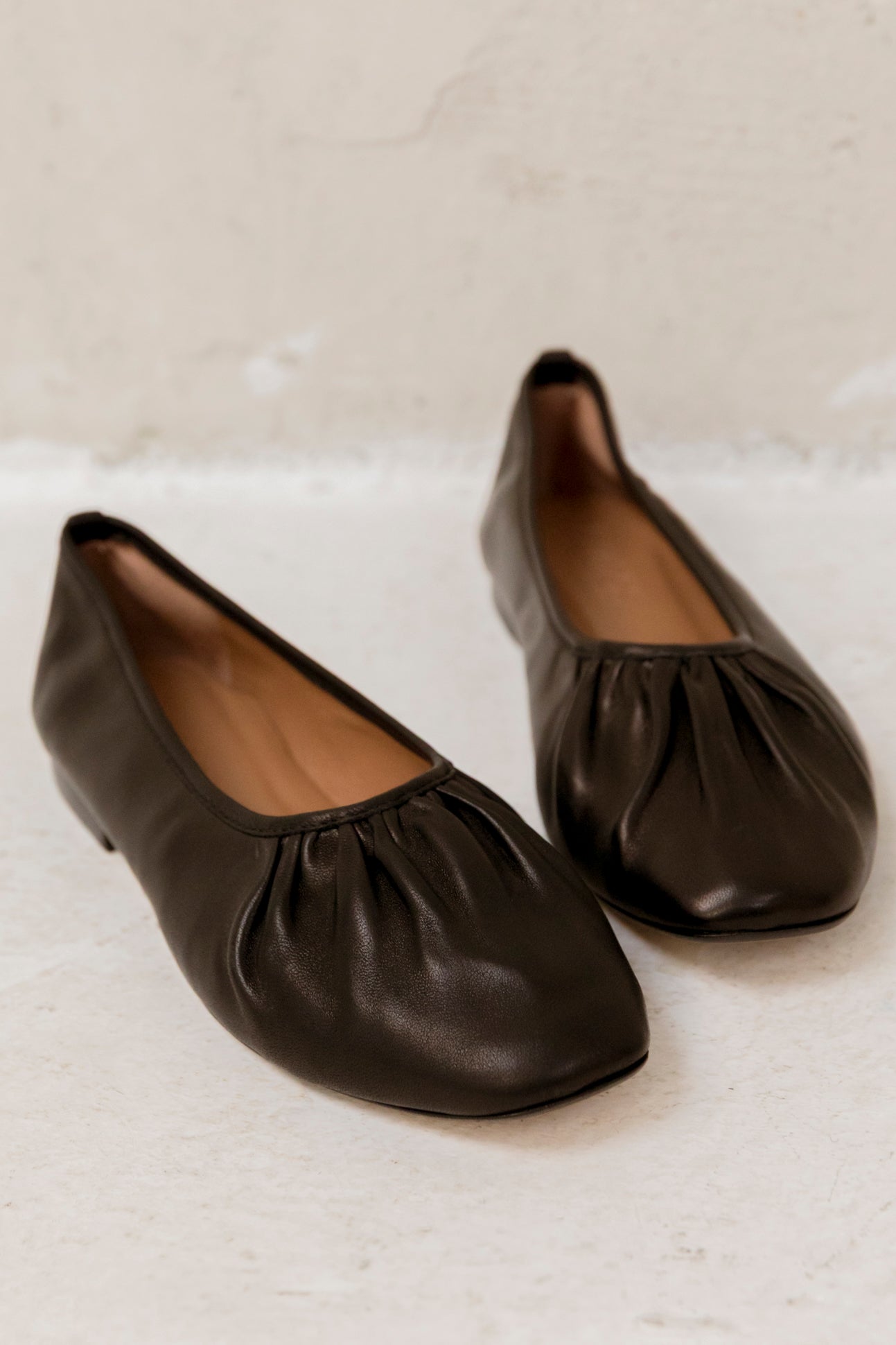 Corso Negro Wild (Outlet)