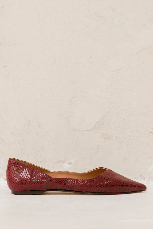 Nata Royal Rioja