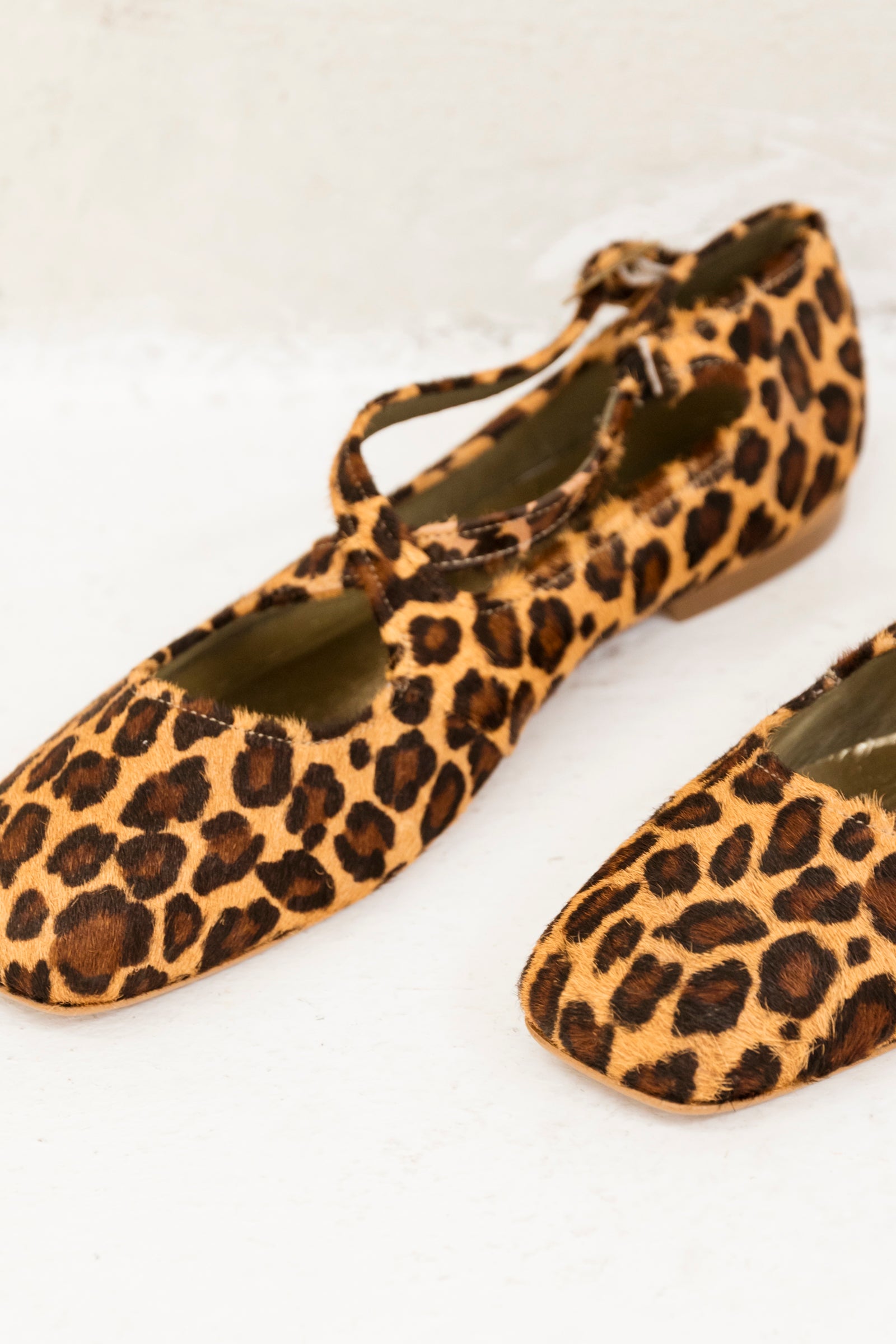 Ana Print Brown (OUTLET)