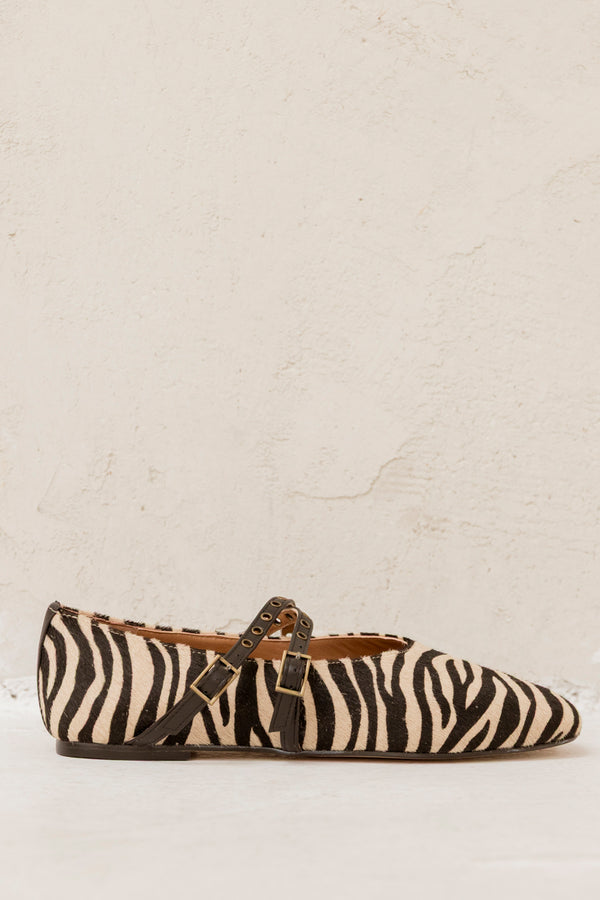 Stella Print Zebra