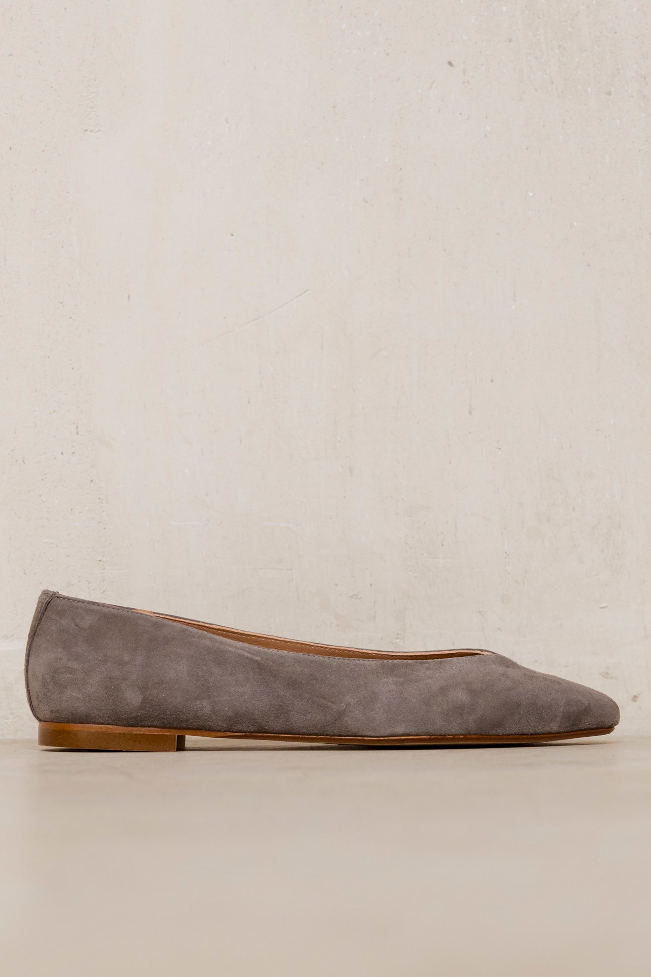 Goya Nitro Suede