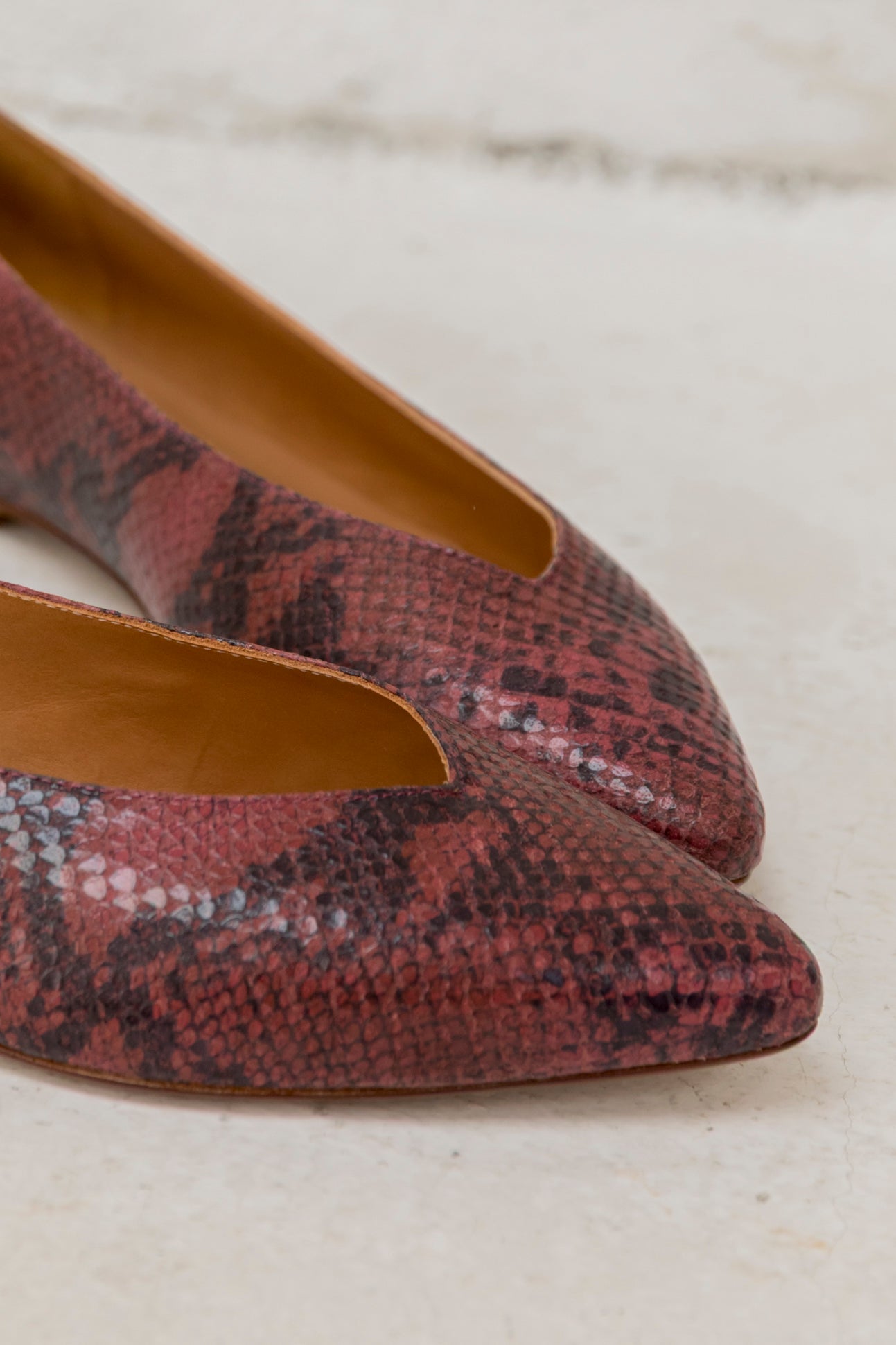 Goya Burgundy Akyra