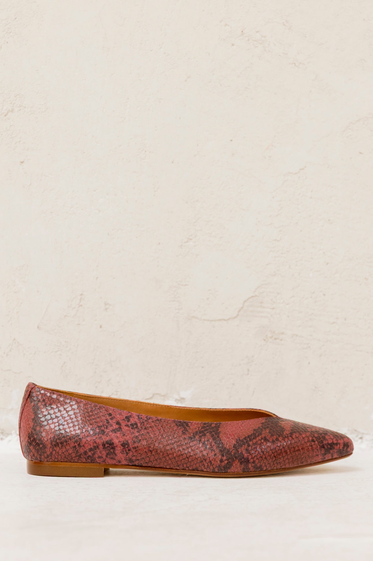 Goya Burgundy Akyra
