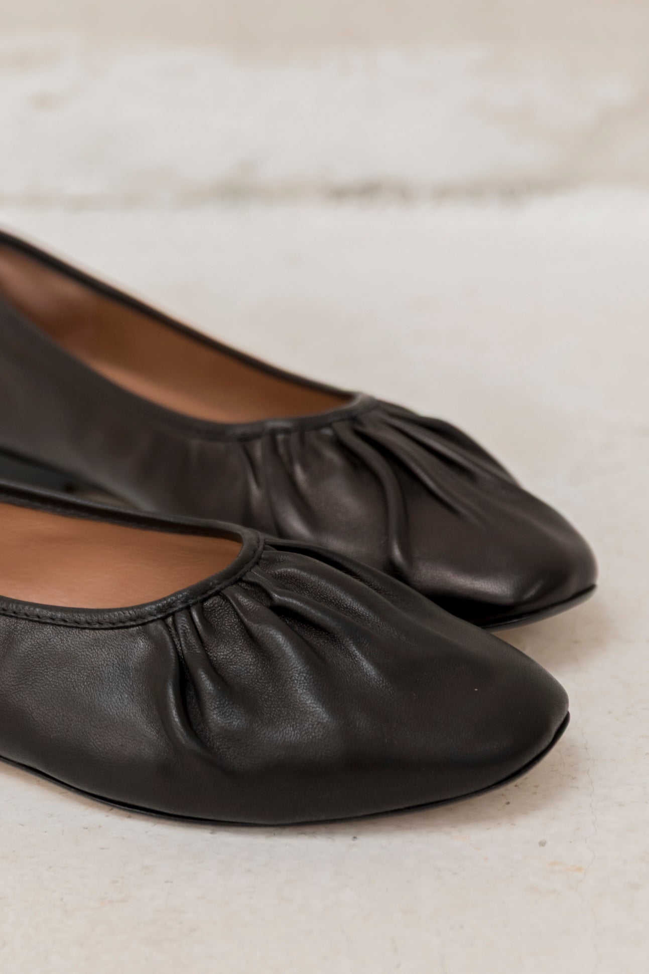 Corso Negro Wild (Outlet)