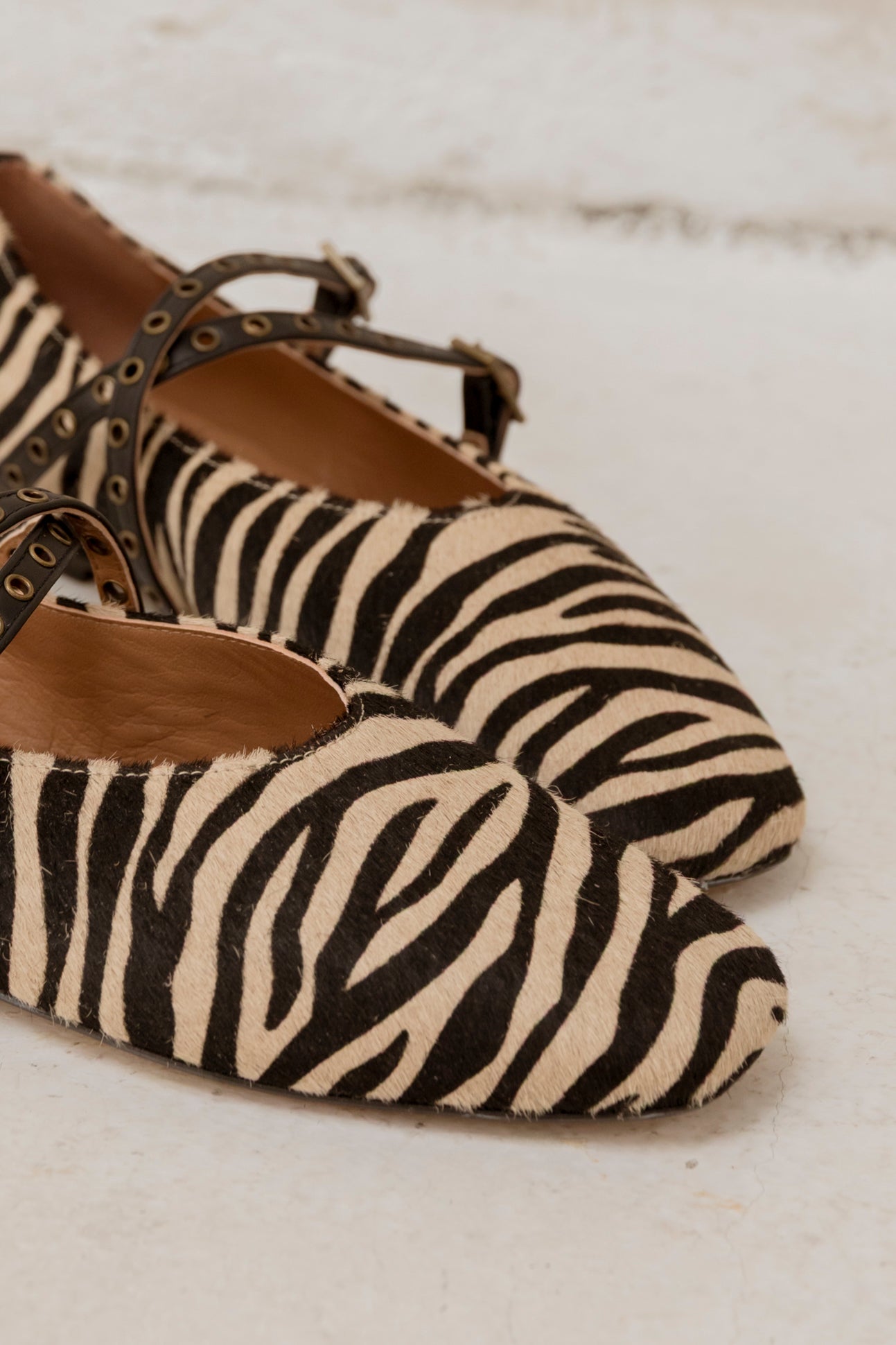 Stella Print Zebra