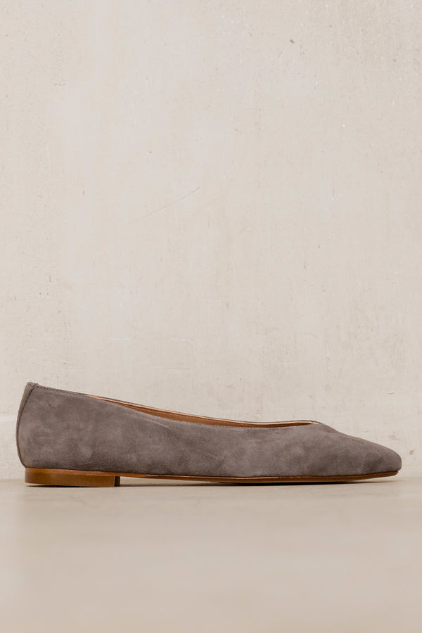 Goya Nitro Suede