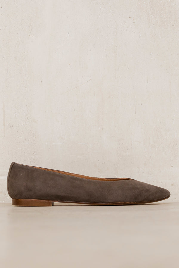 Goya Seal Brown Suede
