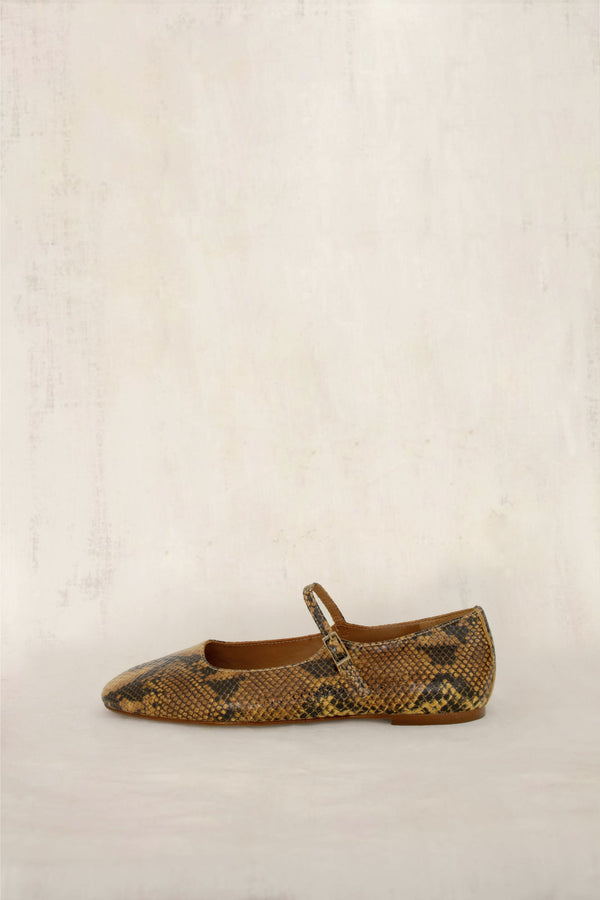 Roma Akyra Maya (OUTLET)