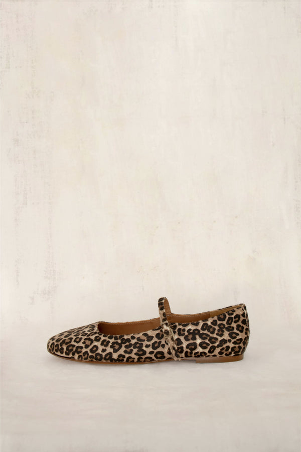Roma Print 2009 (OUTLET)