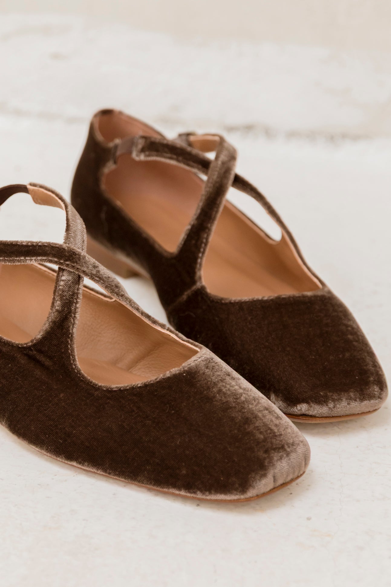 Ana Brown Velvet