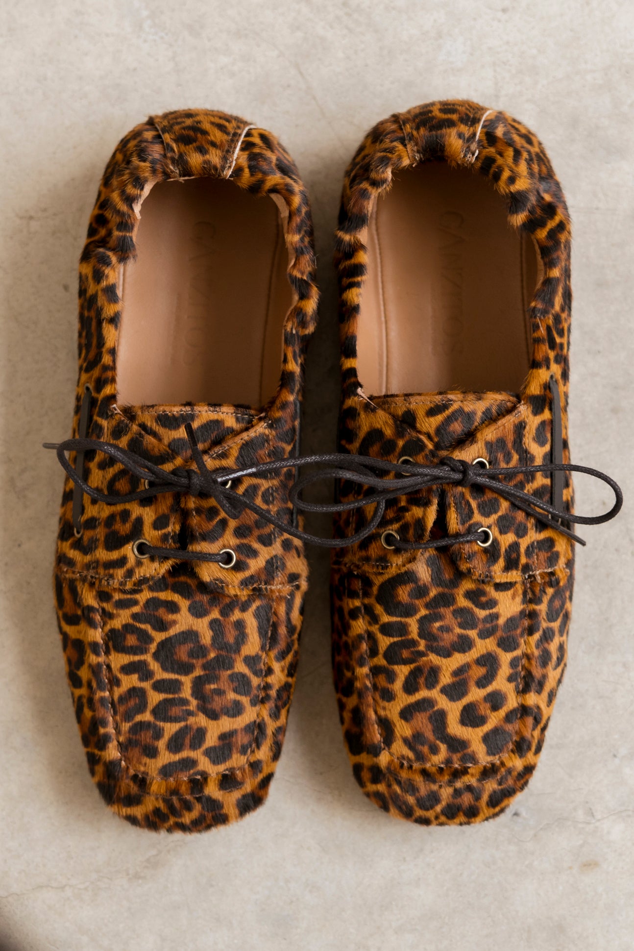 Driver Pony Leopard 2075
