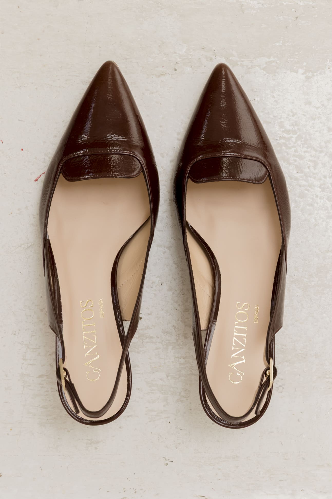 Cleo Juliet Brandy