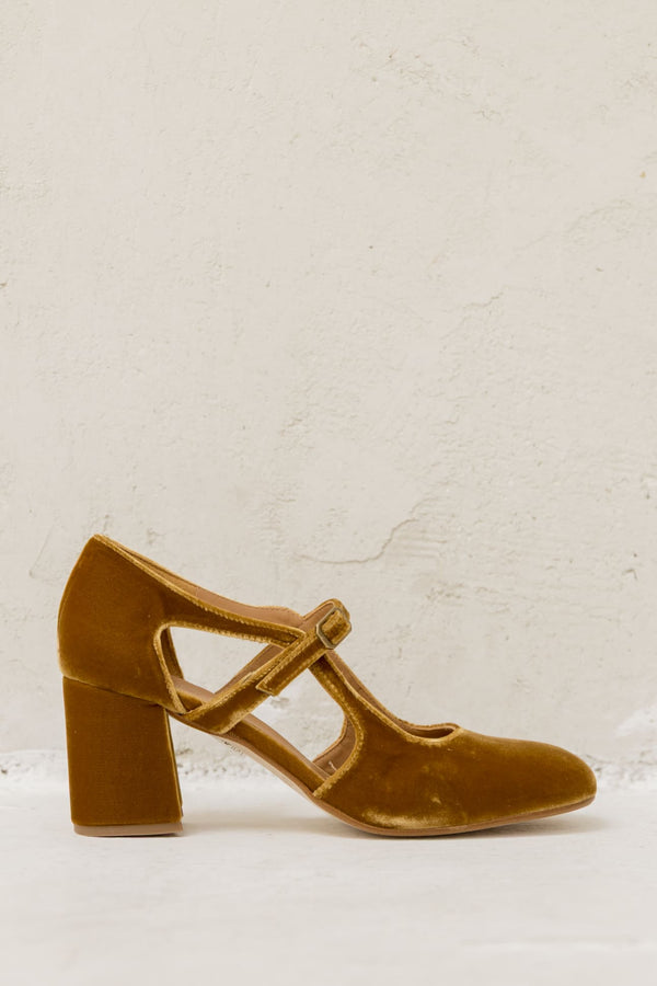 Sandra Curry Velvet